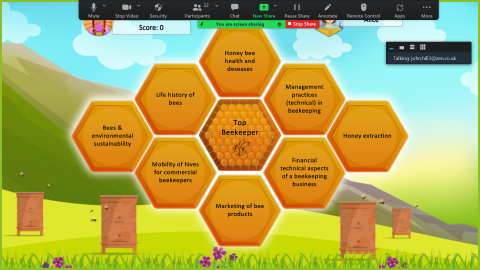 Screenshot from the planbee game